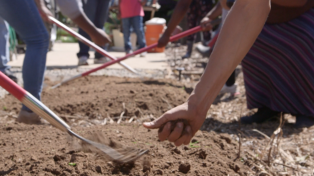 hands in dirt gardening