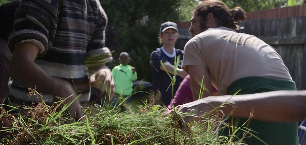 people gardening