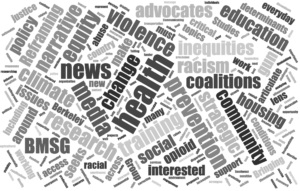 word cloud illustrating BMSG's research and training areas of interest
