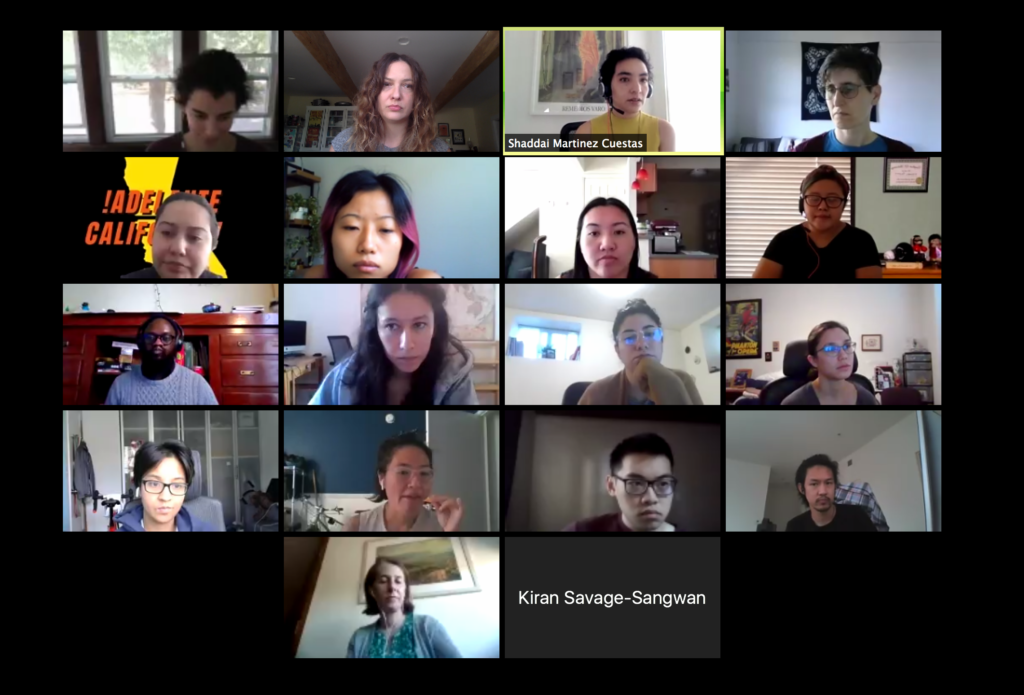 screen grab of participants in online workshop