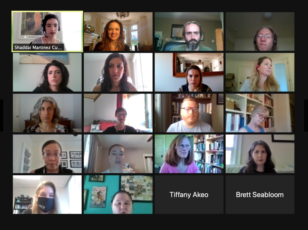 screen grab of online training participants