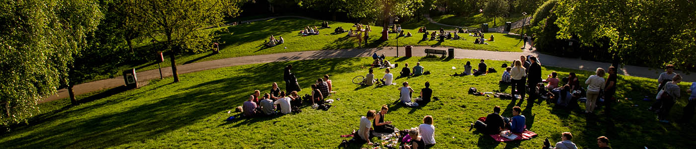 Groups of people talking, eating, and gathering in an outdoor, hilly setting with green grass, a walking path, and trees.